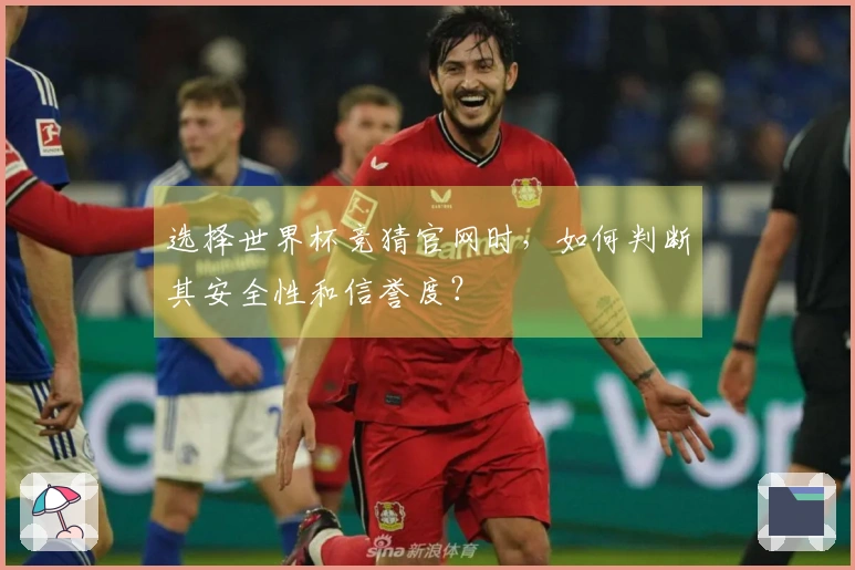 选择世界杯竞猜官网时,如何判断其安全性和信誉度?