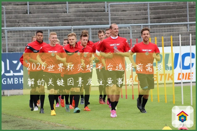 2026世界杯买球平台选择前需要了解的关键因素及注意事项