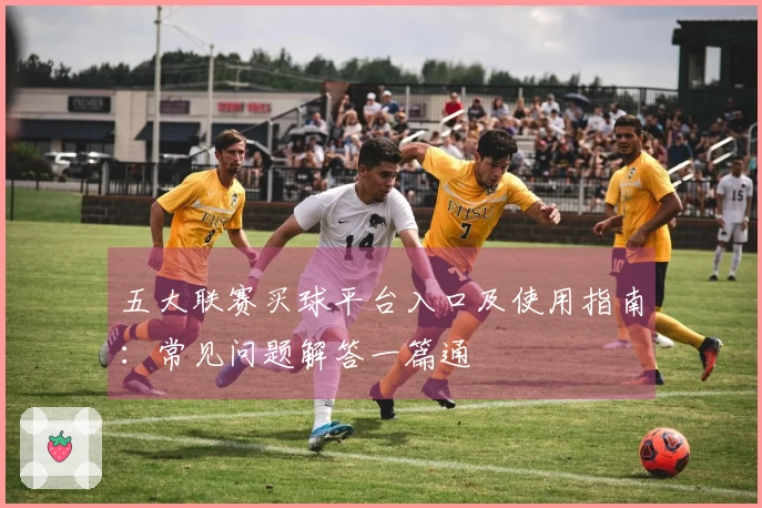 五大联赛买球平台入口及使用指南：常见问题解答一篇通