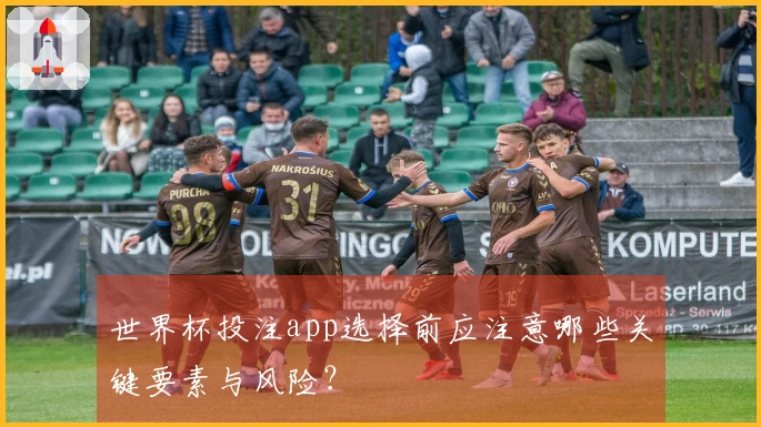 世界杯投注app选择前应注意哪些关键要素与风险？