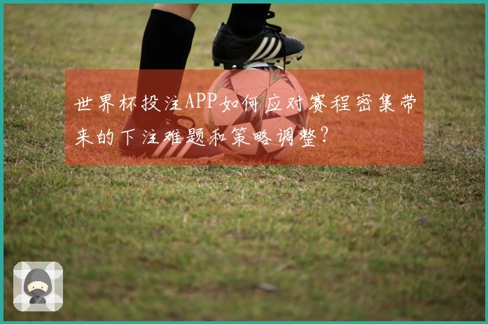 世界杯投注APP如何应对赛程密集带来的下注难题和策略调整？