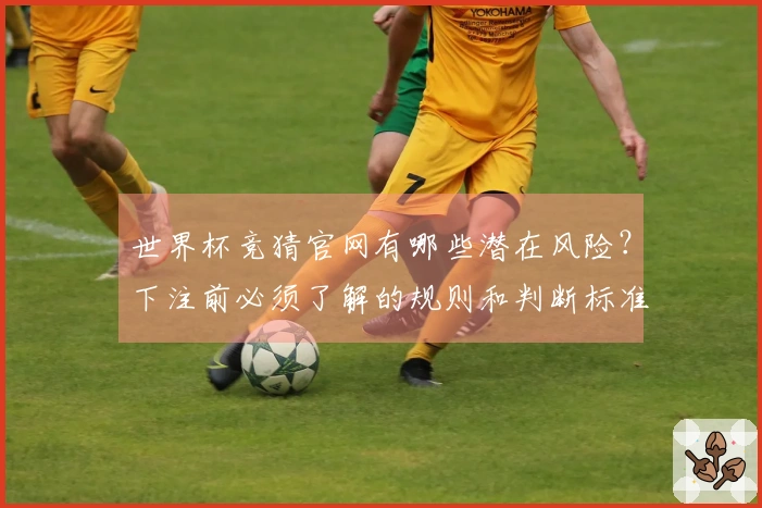 世界杯竞猜官网有哪些潜在风险？下注前必须了解的规则和判断标准