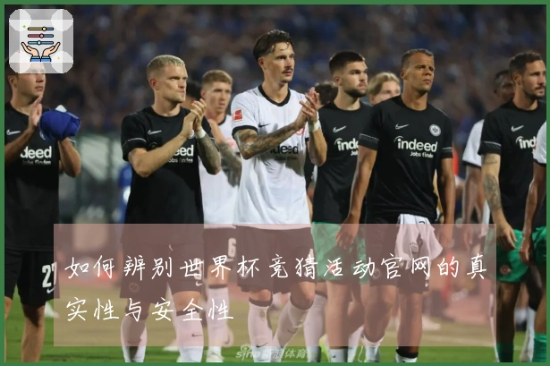 如何辨别世界杯竞猜活动官网的真实性与安全性