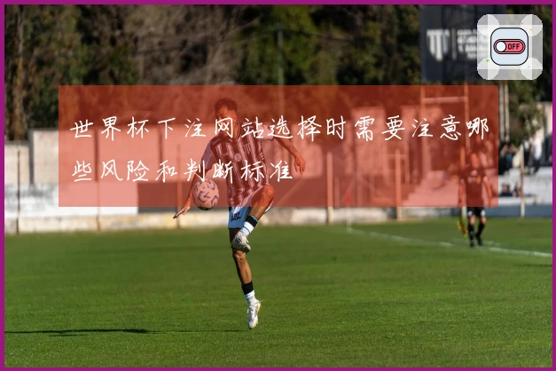 世界杯下注网站选择时需要注意哪些风险和判断标准