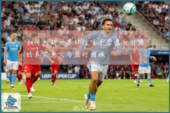 如何判断世界杯投注平台盘口升降的真实意义与应对措施