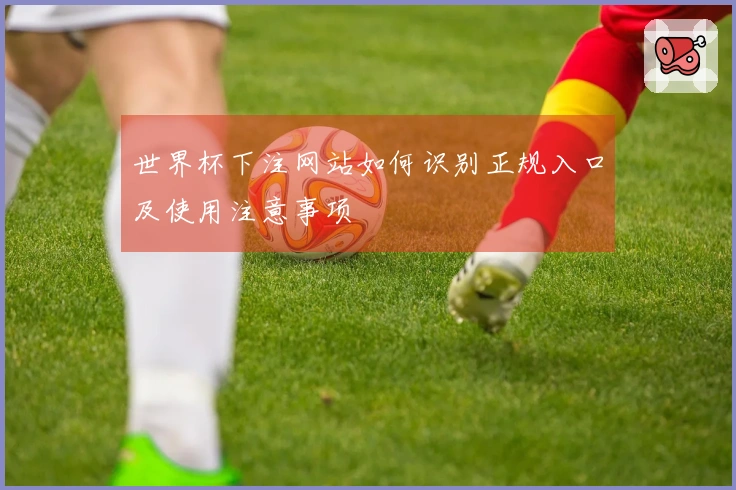 世界杯下注网站如何识别正规入口及使用注意事项