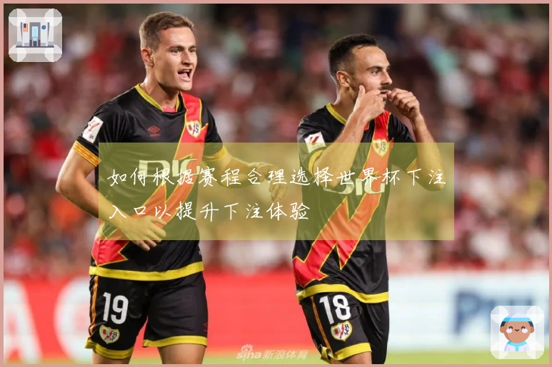 如何根据赛程合理选择世界杯下注入口以提升下注体验