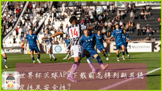世界杯买球APP下载前怎样判断其稳定性及安全性？