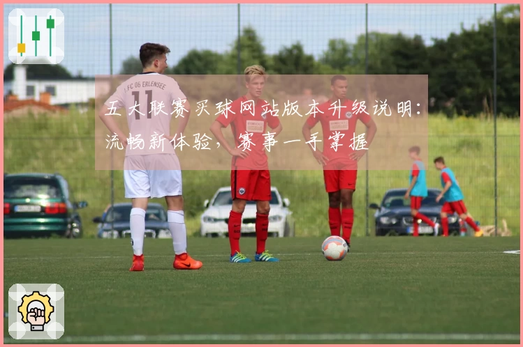 五大联赛买球网站版本升级说明：流畅新体验，赛事一手掌握