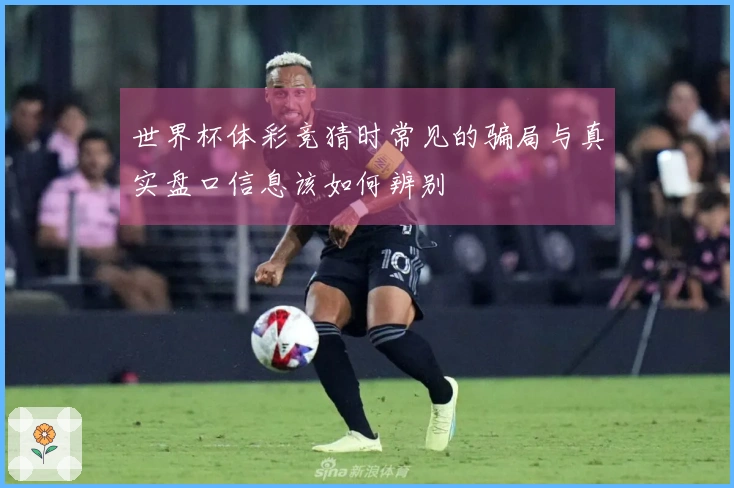 世界杯体彩竞猜时常见的骗局与真实盘口信息该如何辨别