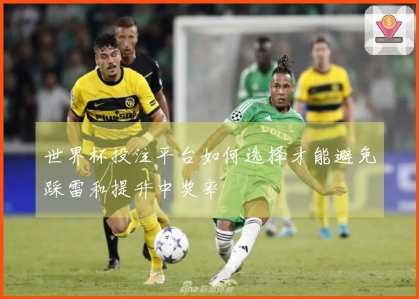 世界杯投注平台如何选择才能避免踩雷和提升中奖率
