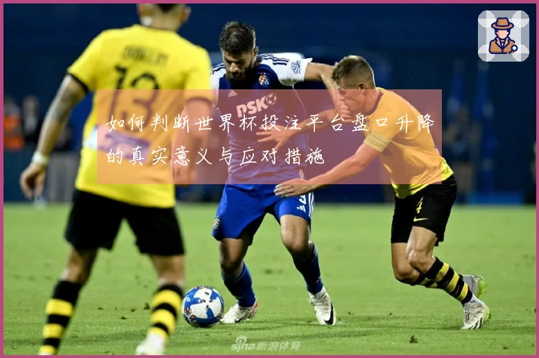 如何判断世界杯投注平台盘口升降的真实意义与应对措施