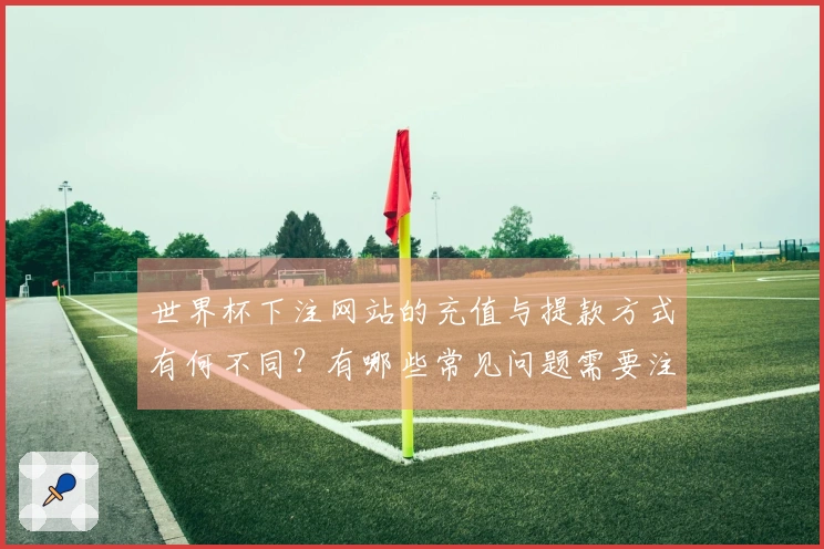 世界杯下注网站的充值与提款方式有何不同?有哪些常见问题需要注意?