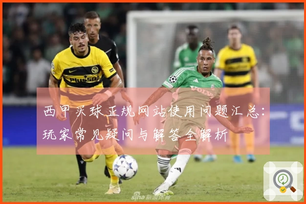 西甲买球正规网站使用问题汇总：玩家常见疑问与解答全解析