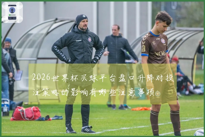 2026世界杯买球平台盘口升降对投注策略的影响有哪些注意事项