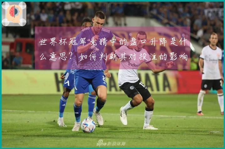 世界杯冠军竞猜中的盘口升降是什么意思？如何判断其对投注的影响？