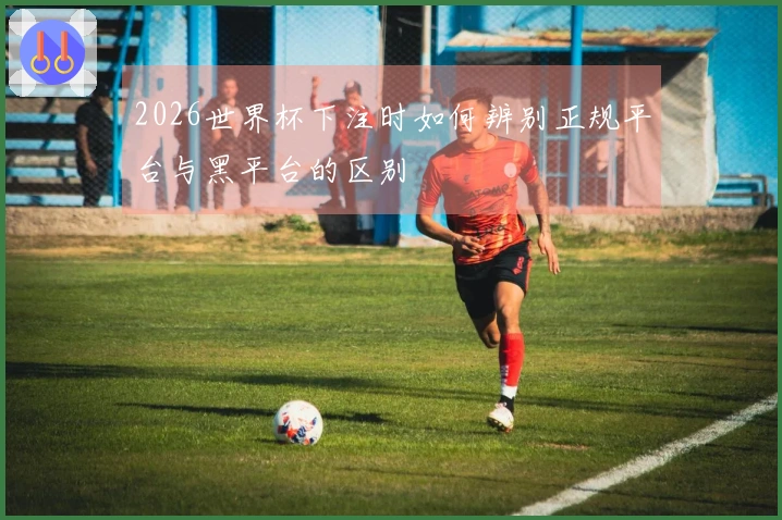 2026世界杯下注时如何辨别正规平台与黑平台的区别